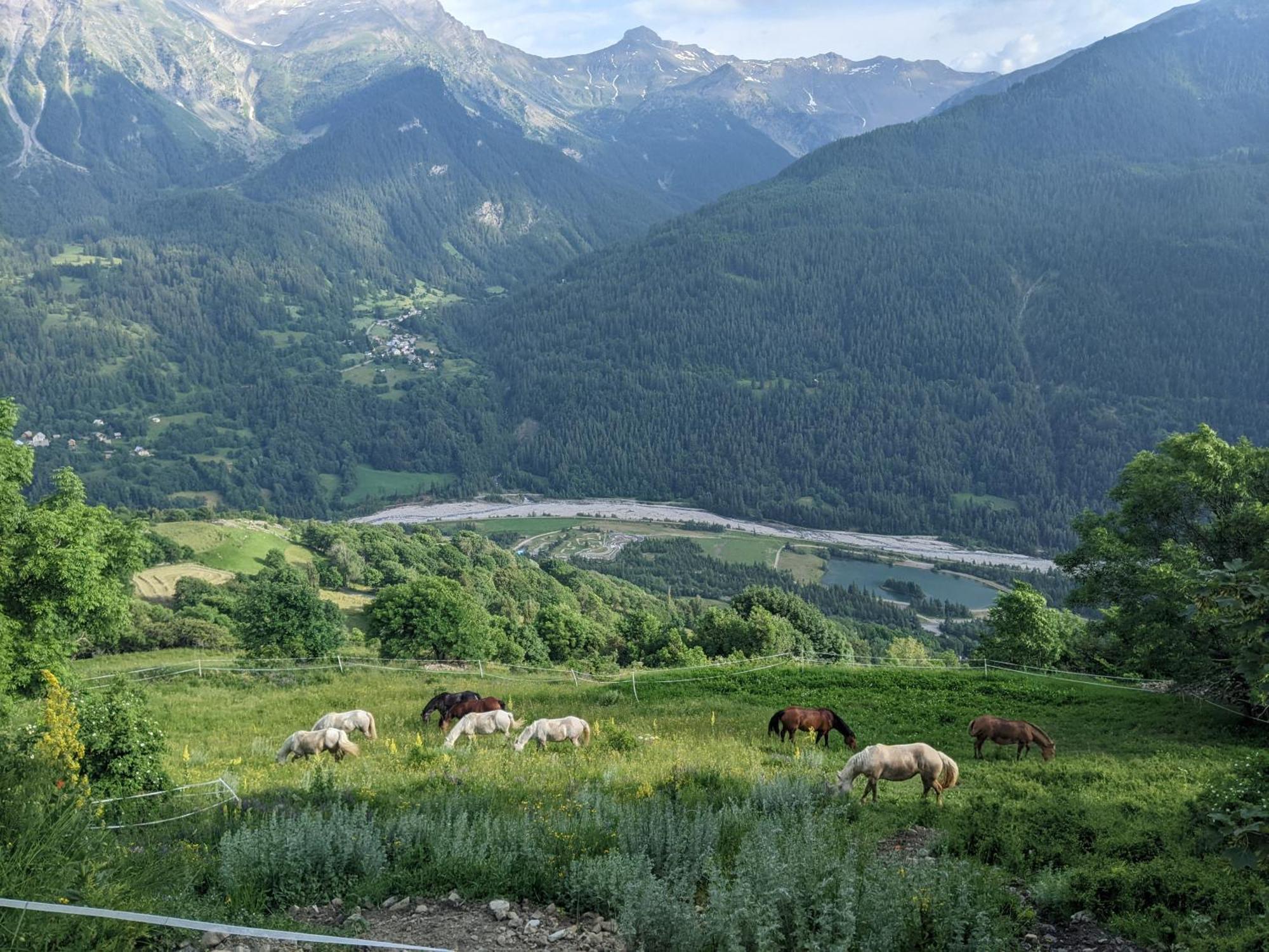 Gite Du Bois De L'Ours Orcières Esterno foto